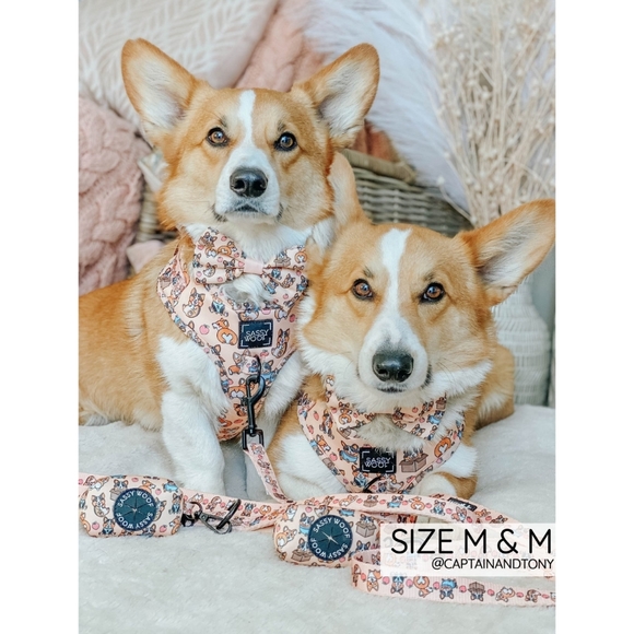Sassy Woof Corgilicious Small Dog Harness - Picture 8 of 16